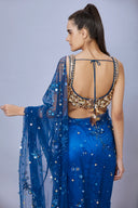 The Sapphire Sari & Petticoat