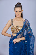 The Sapphire Sari & Petticoat