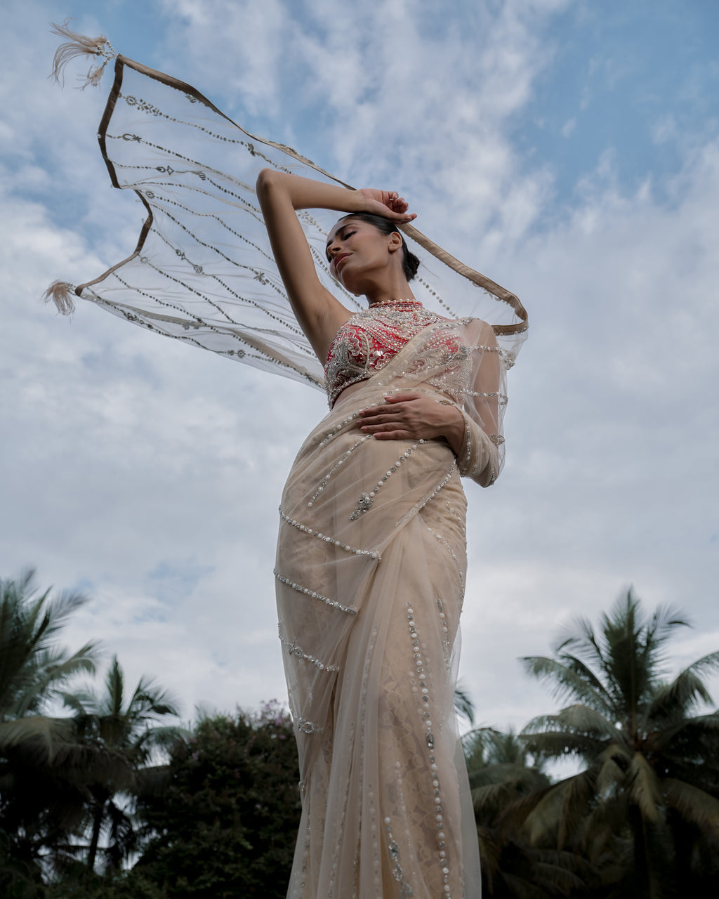 Khaki Gold Saree