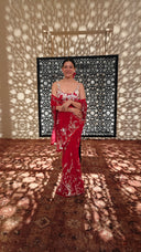 The Merott Sari & Petticoat