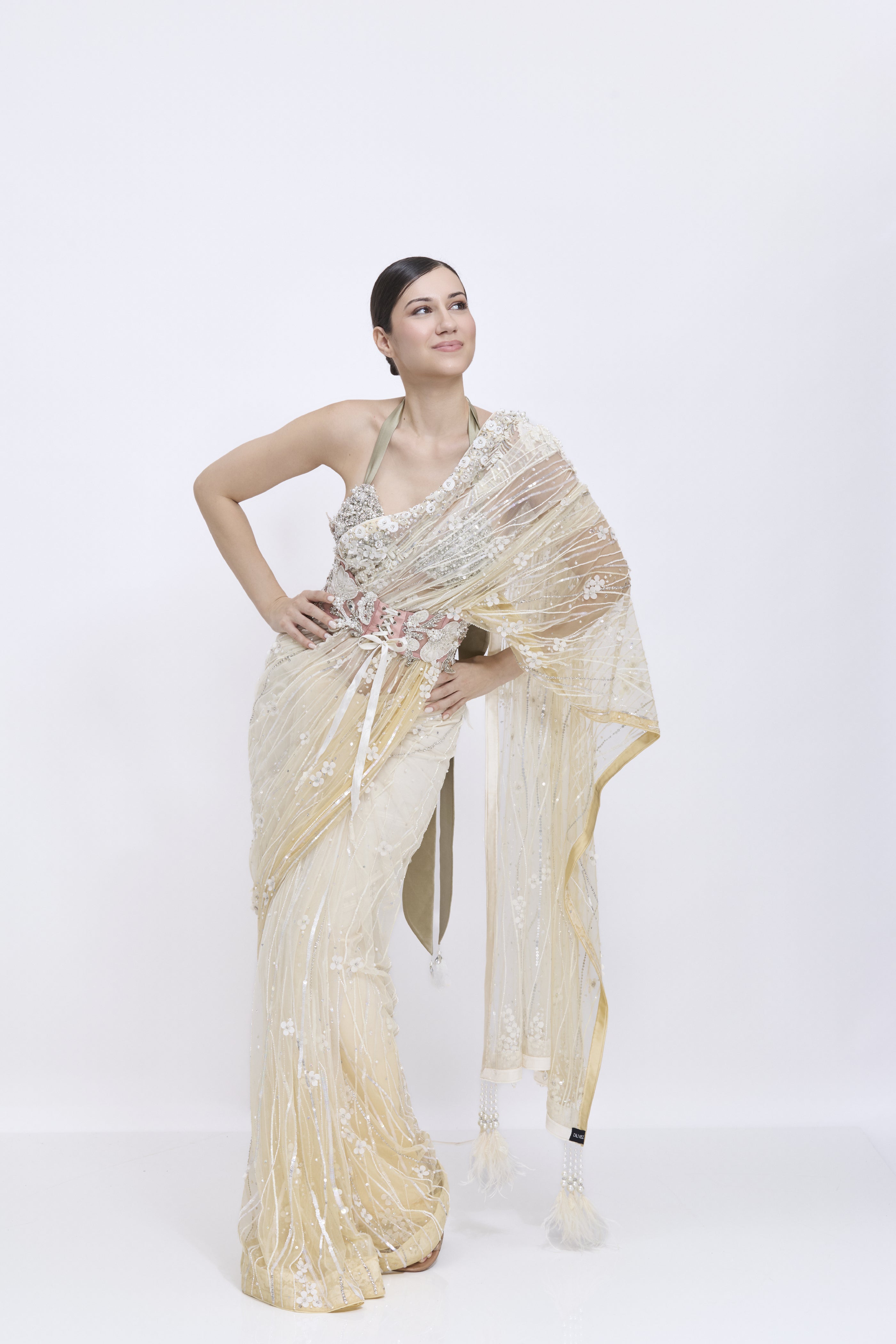Shaded Creme - Biscuit Gold Saree