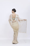 The Muse Sari & Petticoat