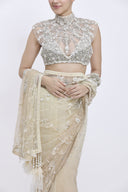 The Hazel Sari &  Petticoat