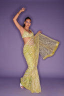 The Pomelo Sari & Petticoat